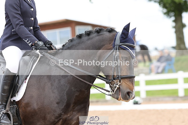 240622A-135605-11871 - Cls 29 BD Elementary 45