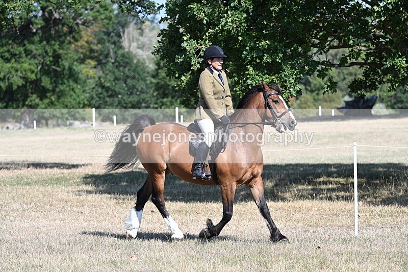 WJ7_3735 - Class 9 Mountain & Moorland Ridden