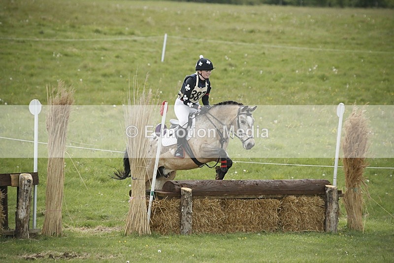 BVHT 140517  NXC -146 - Class 2 XC Novice 14/05/17