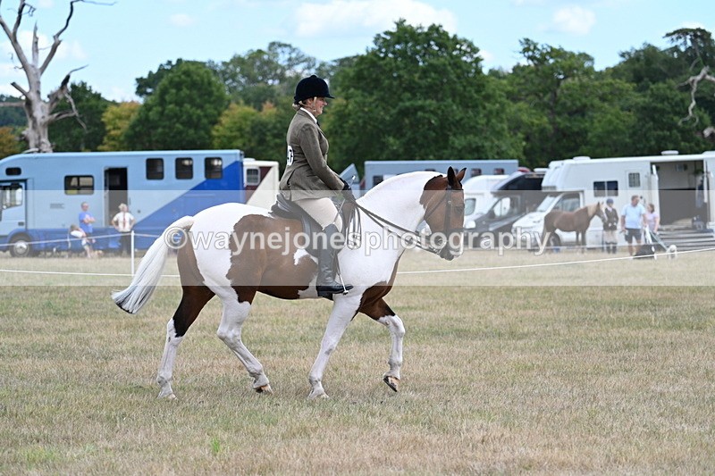 WJ7_4891 - Class 12 Ridden Cob