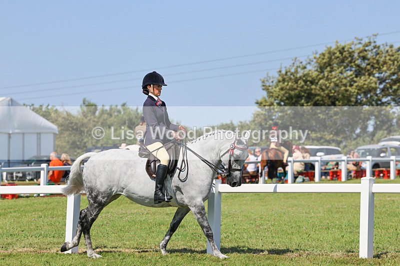 IMG_1896 - Class 33: Show Pony 148cm and under