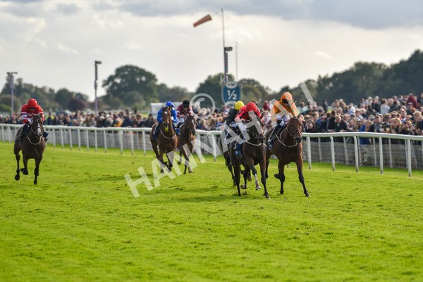 141023-Race 4-Colorada Dancer-1172 - Race 4 3.05pm Coral Racing Club EBF Maiden Stakes