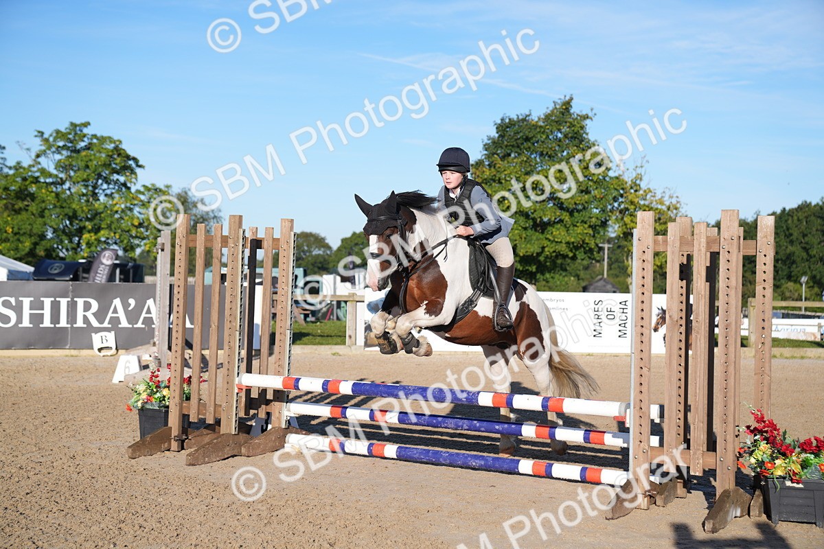 SBM_14039 - J59 - Clear Round - 65cm