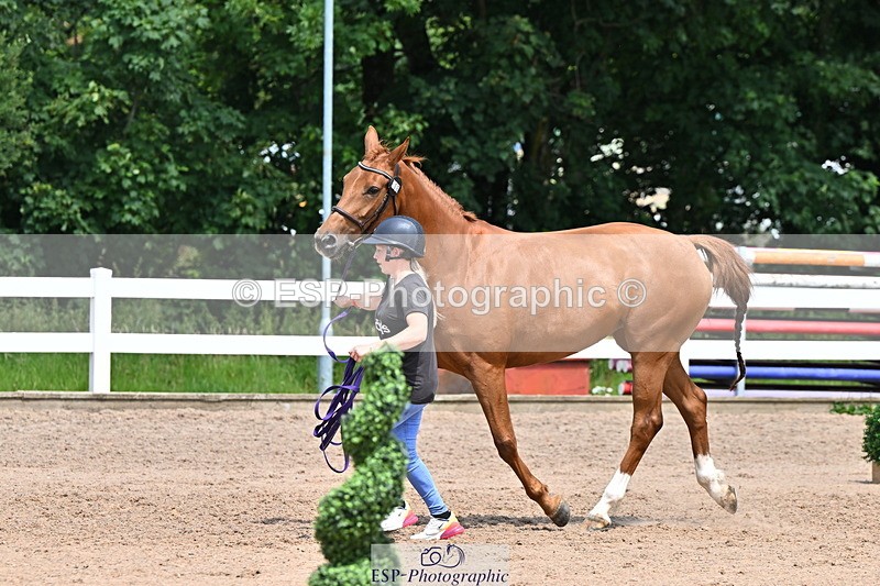 240718A-105312-01701 - Trot Up 1pm to 2pm
