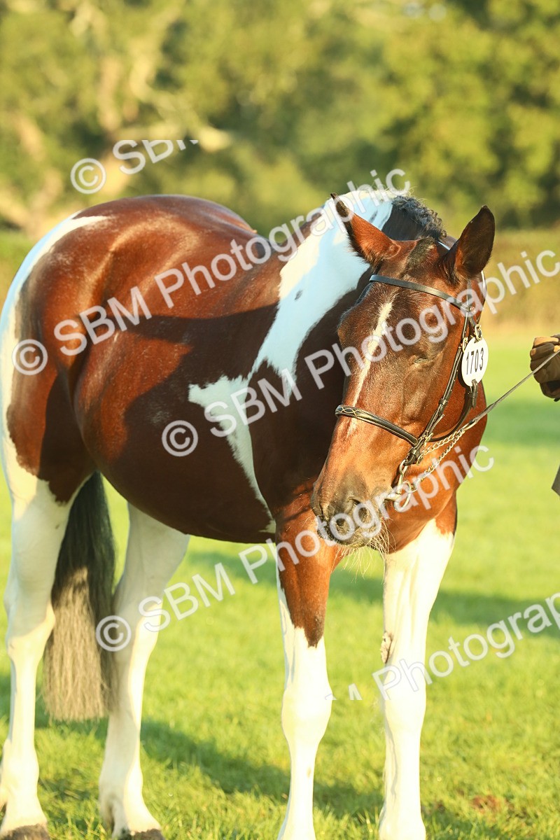 SBM_56536 - S36 - Starters Best Turnout