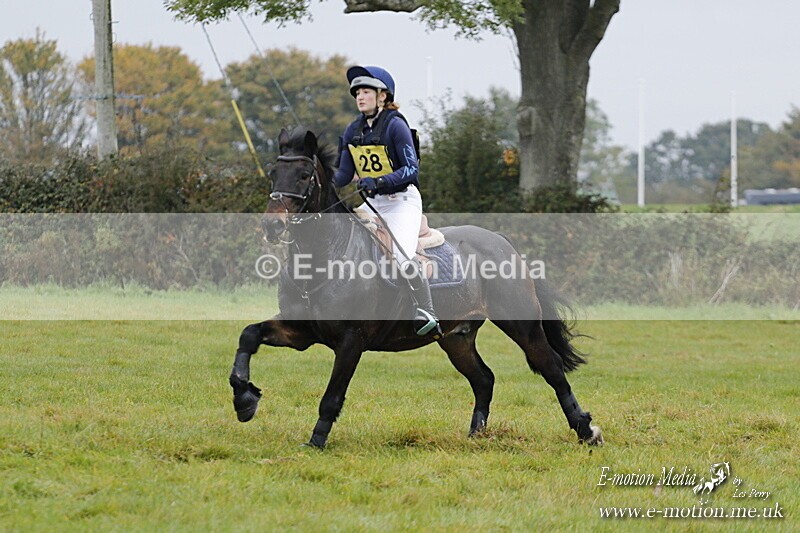 WWHT 181020 WWHT 181020 473 - WWEC Open Novice (0.80m) 18/10/20