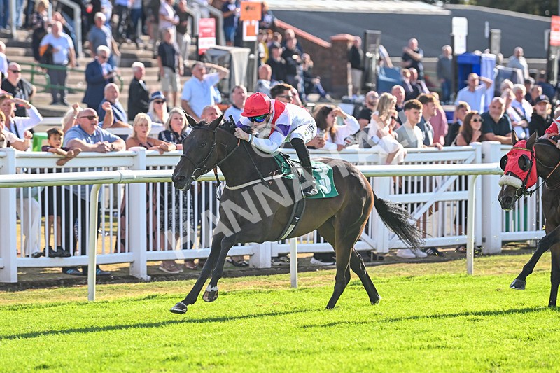 290825-Race 7-Crocus Time-9279 - Race 7