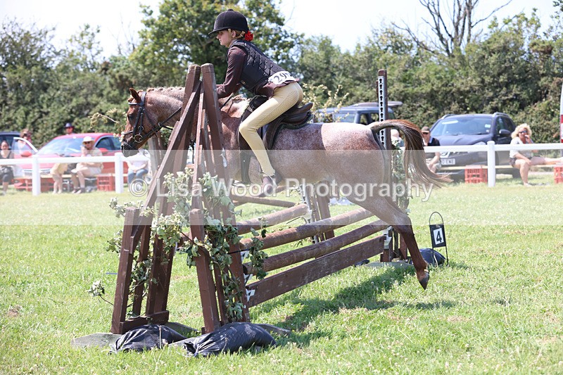 JPP_2960 - Class 22: Working Hunter 70cm