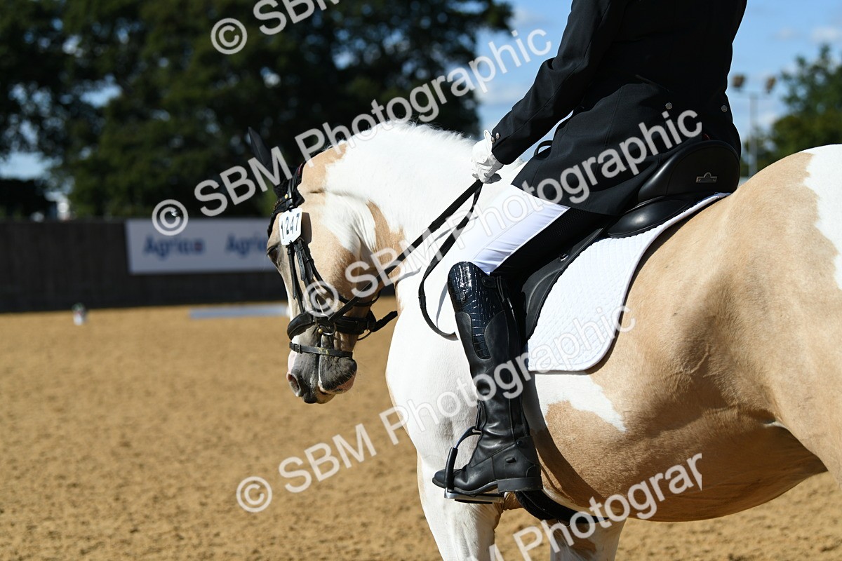 SBM_25124 - D13 - Grand Tour Championship - Prelim 12