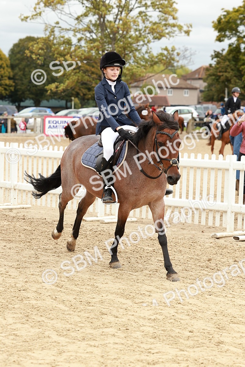 SBM_67040 - J13 - Junior Pony 60cm Championship
