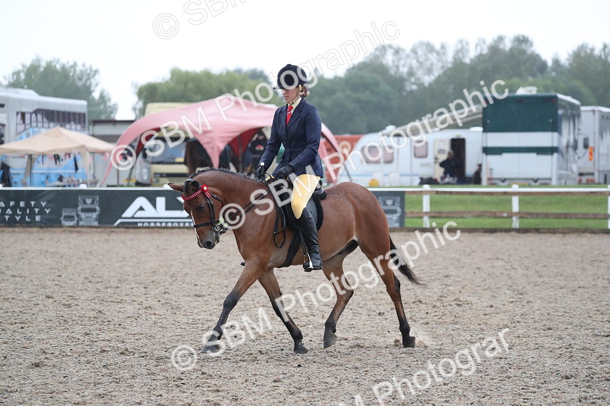 SBM_20470 - Class 601 - 2025 Area - Ridden Diamond