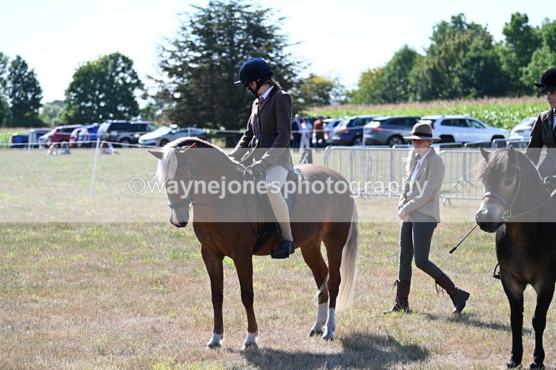 WJ7_3979 - Class 9 Mountain & Moorland Ridden