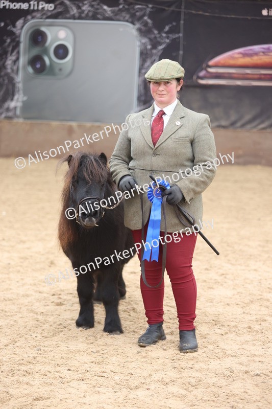 20251109-0350 - Class 13 - Mares 4 Years and Over