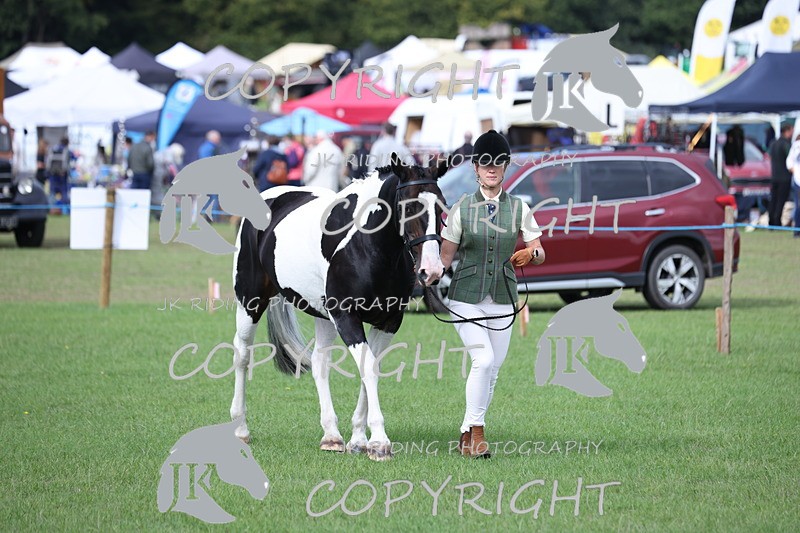 APP_2652 - Class 9 Veterans in hand