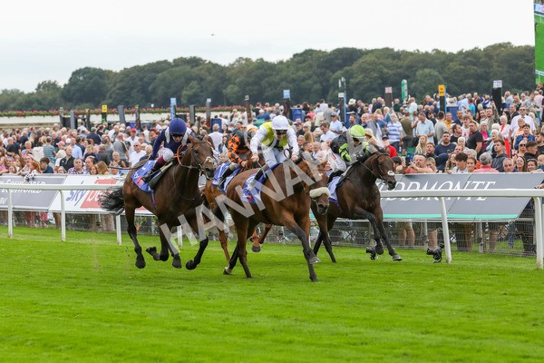 230823-Race 5-Forza Orta-4460 - Race 5 4.10pm Sky Bet Stayers Handicap