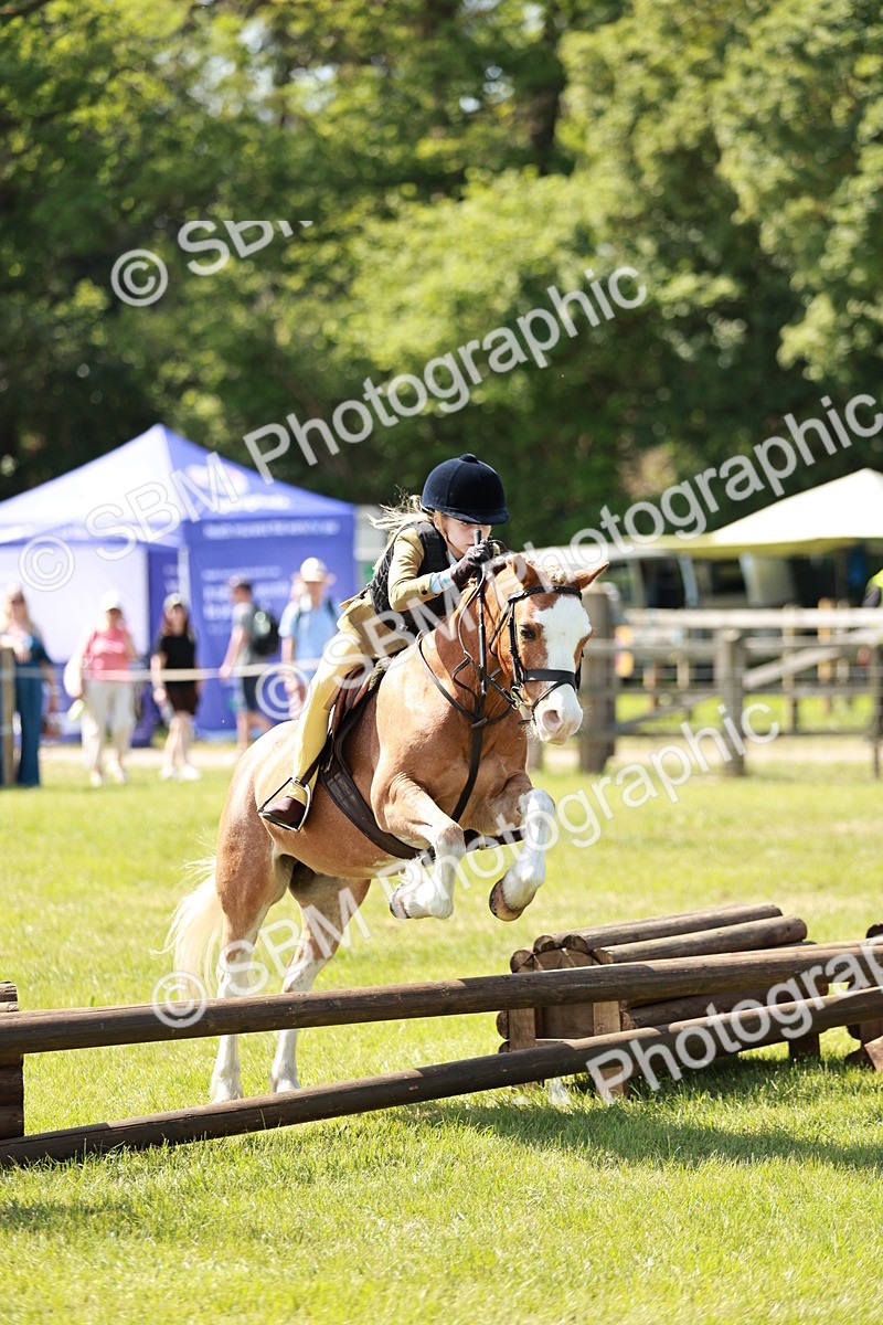 SBM_13585 - Class 108-109 - BSPS LIHS Open Gradle & Nursery Stakes