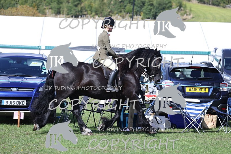 APP_3474 - Class 12 M&M ridden