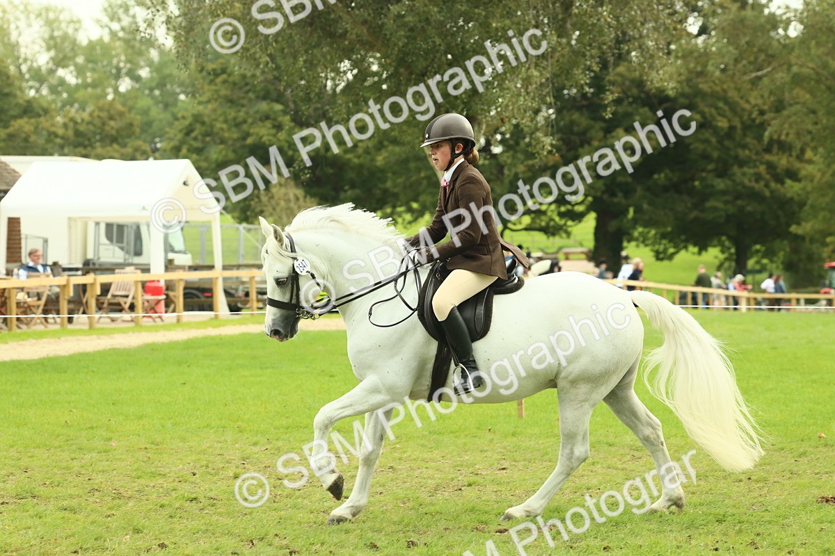 SBM_71982 - S60 - Mountain & Moorland Ridden Large Breeds