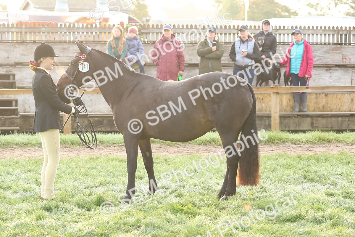 SBM_54509 - S38 - Starters Best Turnout