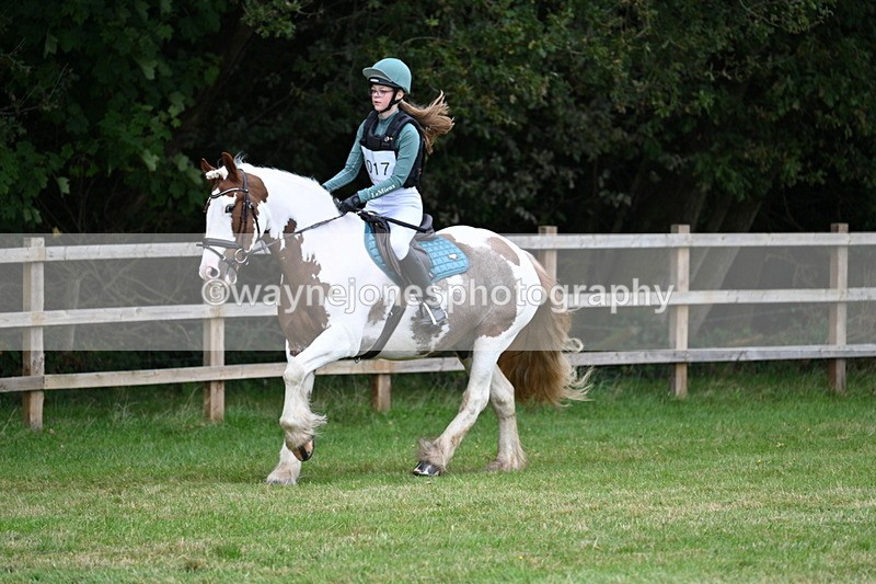 WJ7_7413 - 40cm Time 10:27 to 10:47