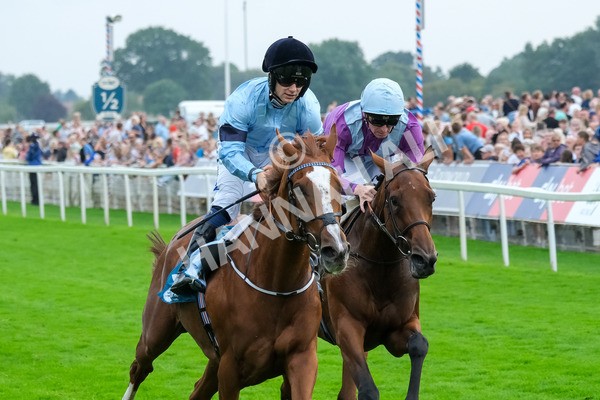 080925-Race 6-Rhapsody-9650 - Race 6 5.00pm Sky Bet Build A Bet Fillies' Handicap