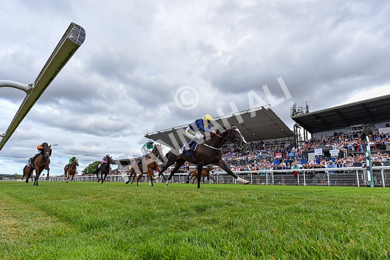 040726-Race 5-Porth Eilian-2013 - Race 5 16.35pm Weatherbys Global Stallions App Coconut Cup Fillies' Handicap