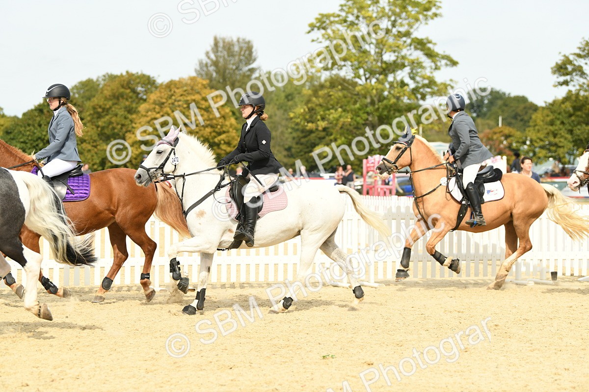 SBM_65317 - J48 - Pairs Jumping Open 70cm & 85cm