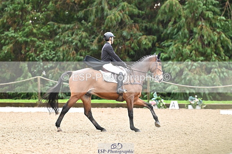 251023A-122251-01907 - C-235-Ryo.Murata