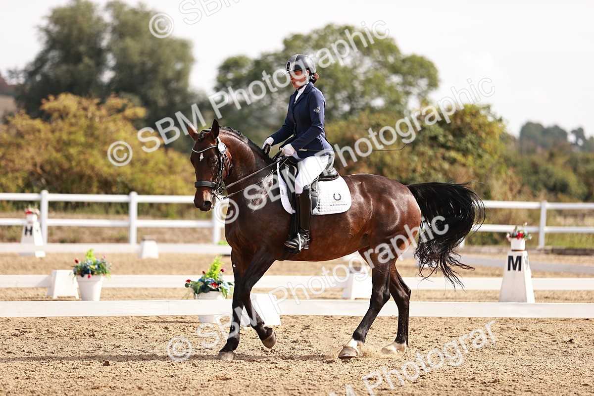 SBM_017575 - Class 11 - Advanced Medium 6