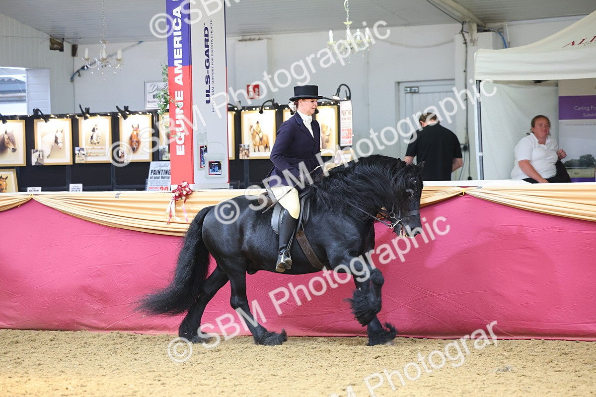 SBM_24071 - Class 905 - Supreme Final - Ridden Veteran