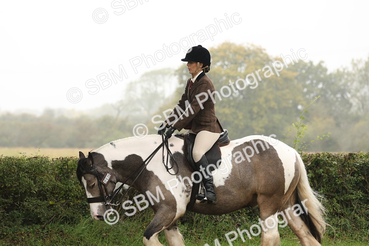 SBM_72747 - S70 - Traditional Cob Ridden