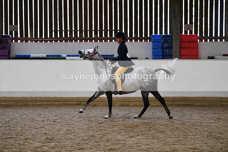 WJ5_7745 - Class 13 Ridden Part Breed