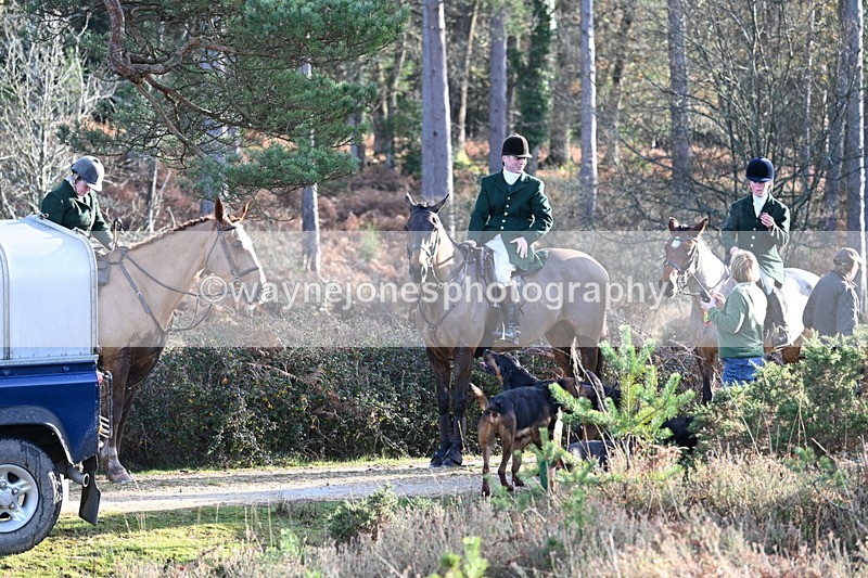 WJ7_7442 - Line 3 (no line 4 or 5)