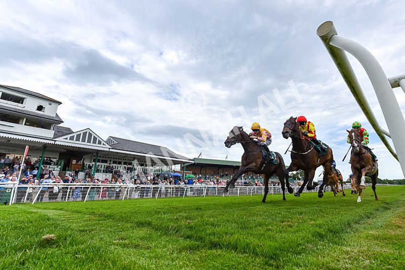 220626-Race 3-Battenburg Belle-1018 - Race 3 15.30pm Catterick Racecourse Supporting Racing Staff Week Handicap