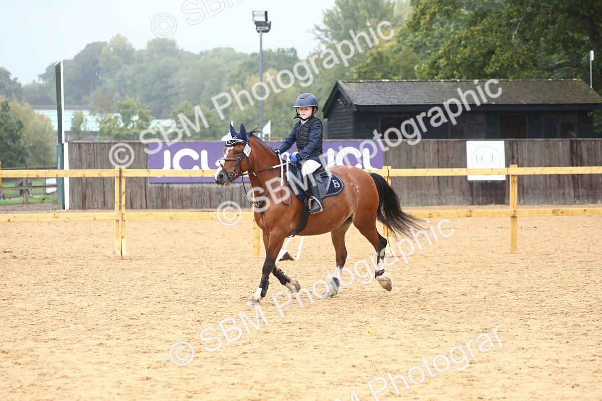 SBM_71636 - J4 - Mini Tour Junior Pony 45cm Championship