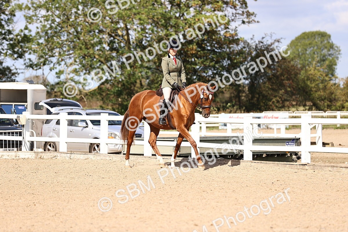 SBM_14270 - Class 411 - Prettiest Mare (IH OR Ridden) Adult