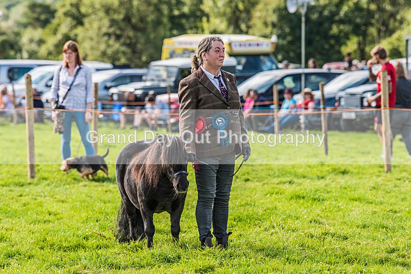 Loweswater Show-21 - Loweswater Show Junior & Senior Fell Races Sunday 3rd September 2023