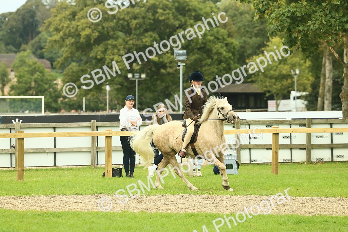 SBM_72033 - S60 - Mountain & Moorland Ridden Large Breeds