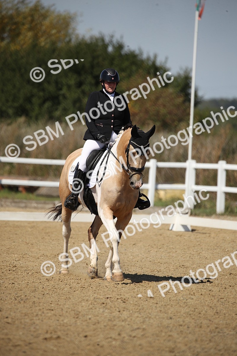 SBM_005071 - Class 11 - Novice 5 - 11.41-12.58