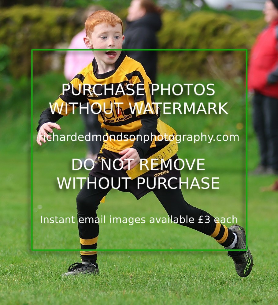 533A4985 - Kendal Rugby Under 7's (12/4/26)