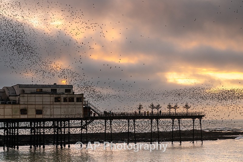 ANT_2477-2 - Aberystwyth_02