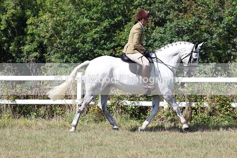 3E7A6359 - Working Hunter Championship