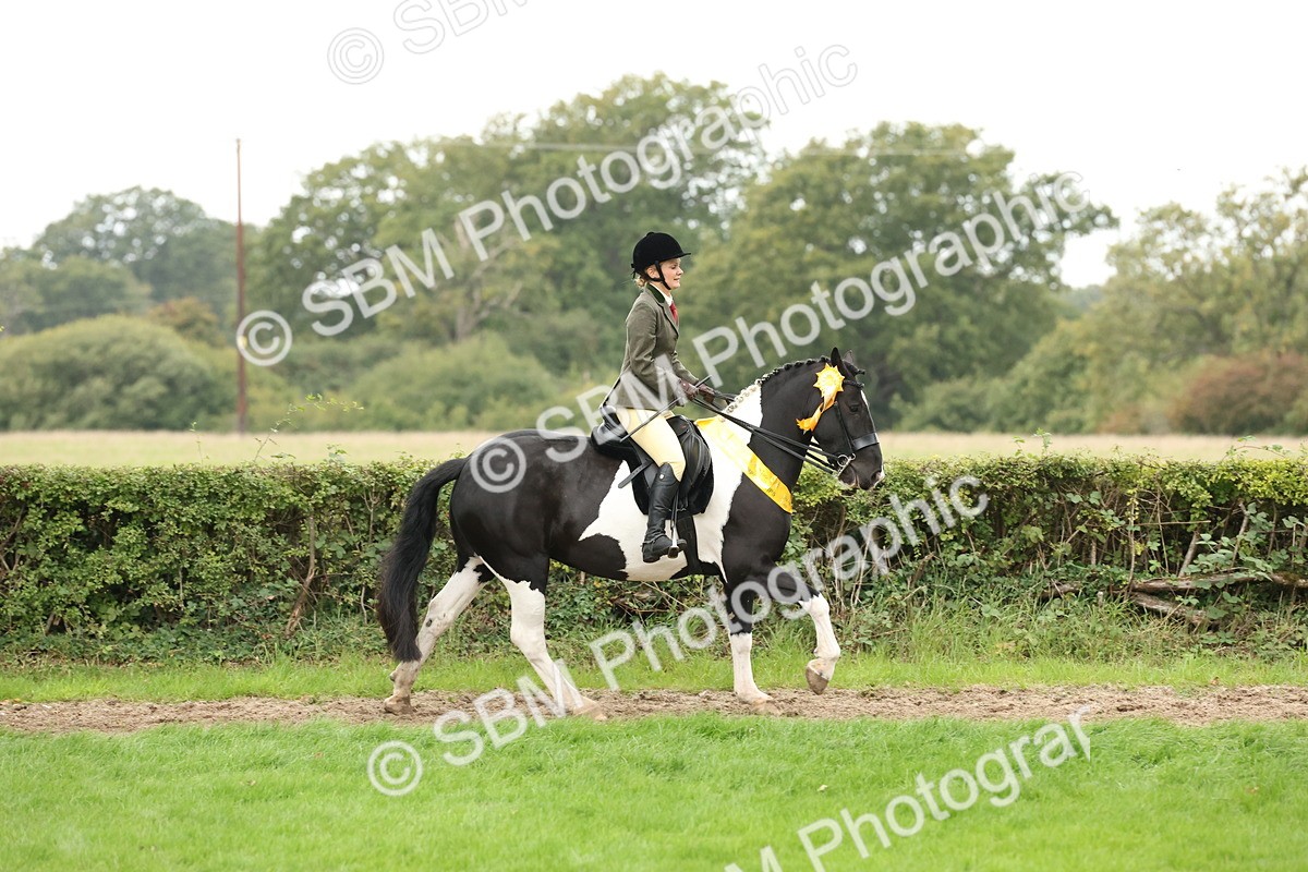 SBM_67328 - S67 - Piebald & Skewbald Horse Ridden