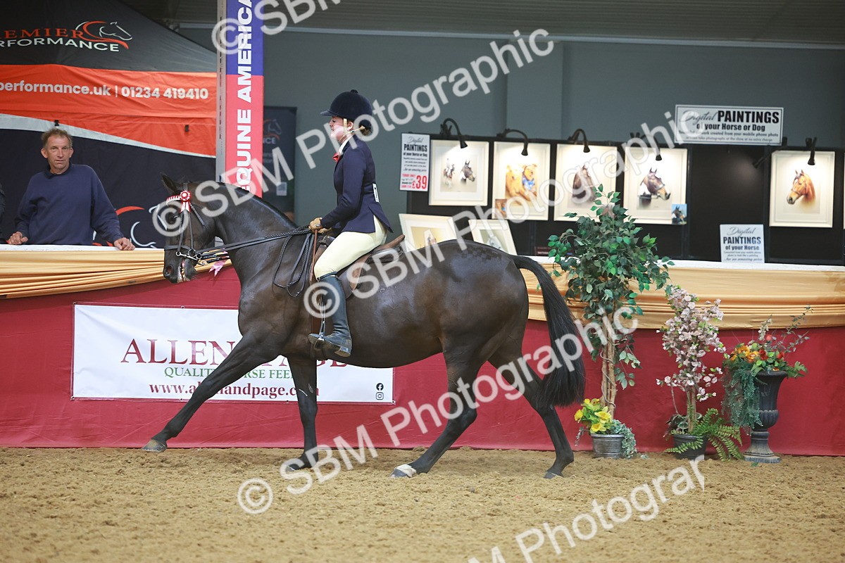 SBM_10551 - Class 103 - HOYS Veteran Qualifier - Ridden Pre Vet