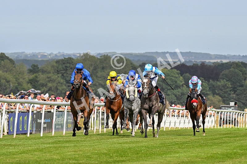 140824-Race 5-Havana Blue-3727 - Race 5