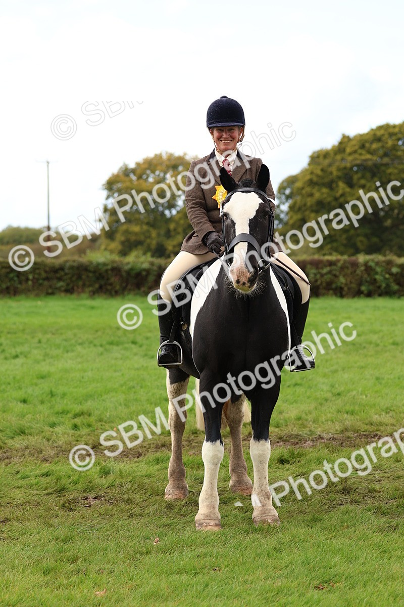 SBM_45135 - S27 - Young Veteran Ridden