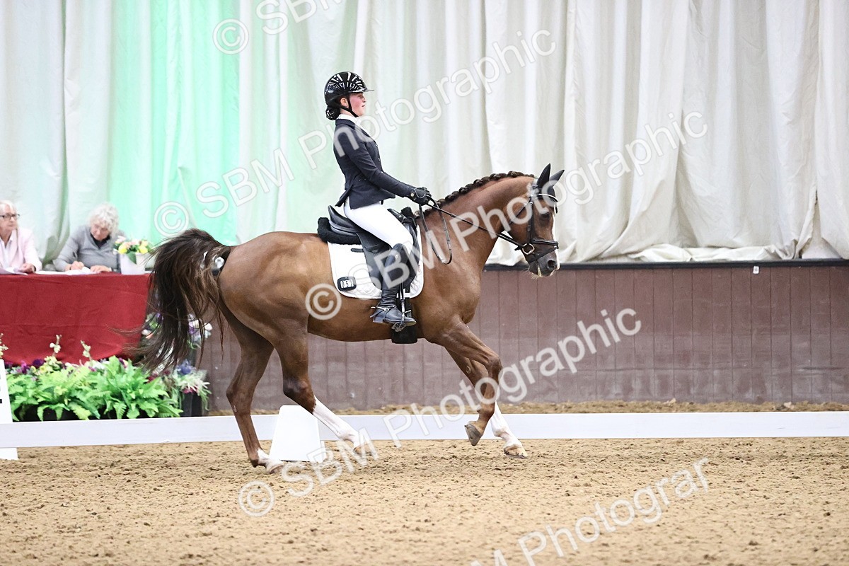 SBM_008369 - Class 15 - FEI Junior Pony Team-YR-COH
