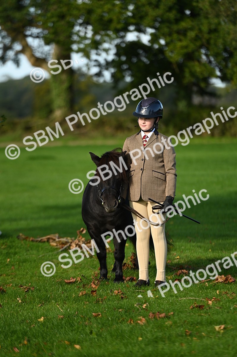 SBM_14736 - S1 - TSR in Hand Horse & Pony Showing