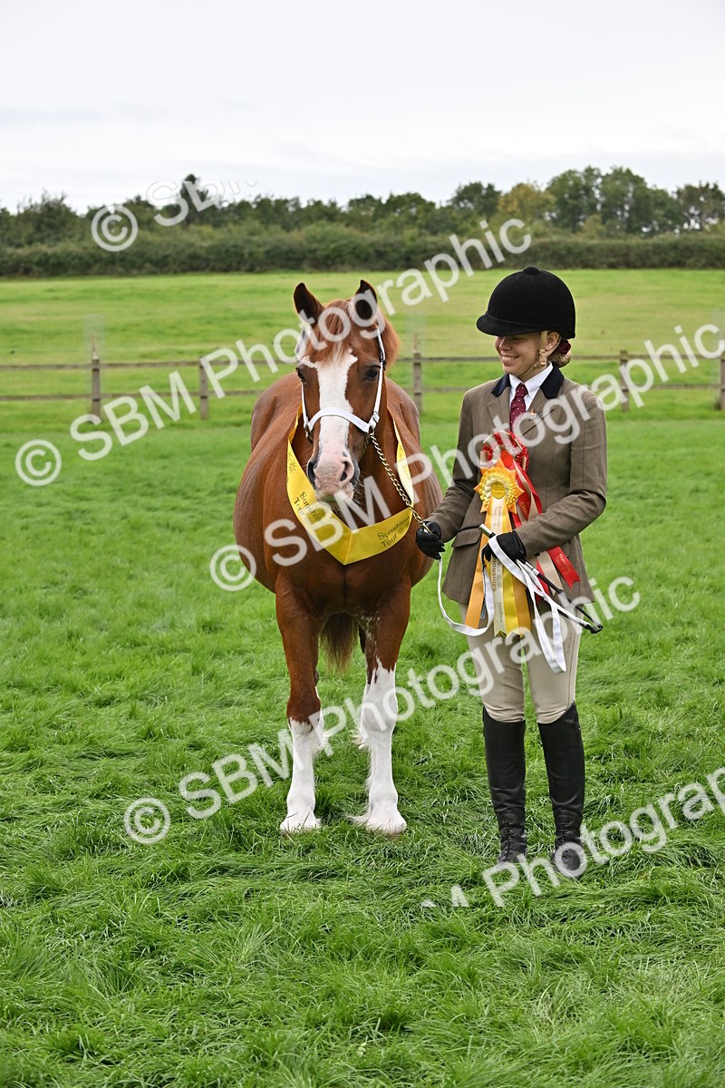 SBM_65031 - In Hand Pony & Younstock Supreme Championship