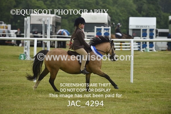 JAC_4294 - WORKING HUNTER CHAMPIONSHIP